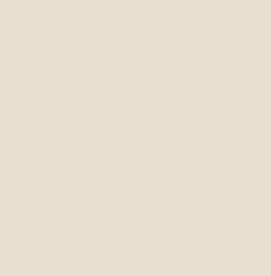 PIGMENT POLYESTER CLASSIC CREAM 500ML