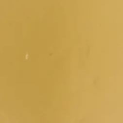 PIGMENT POLYESTER BIEGE 500ML