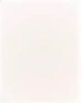 PIGMENT POLYESTER WHITE 500G