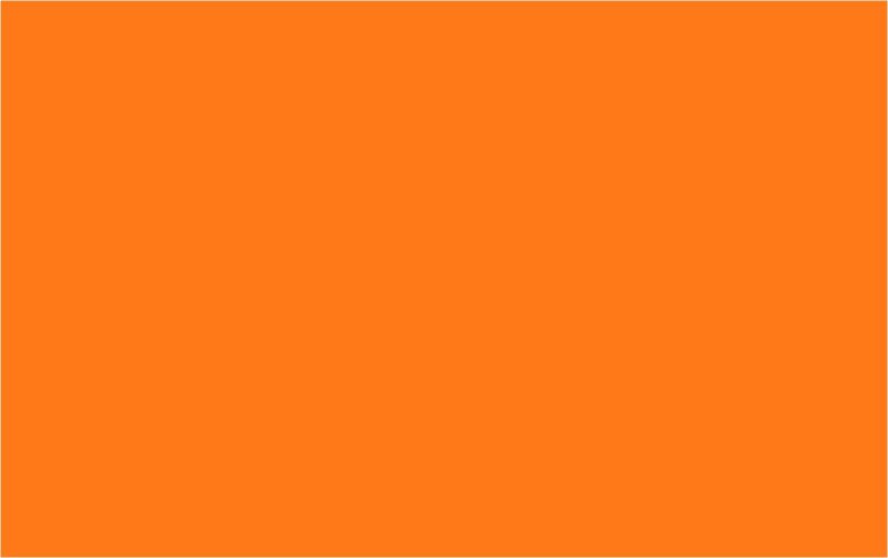 PIGMENT BURNT ORANGE 200ML (POLYESTER)