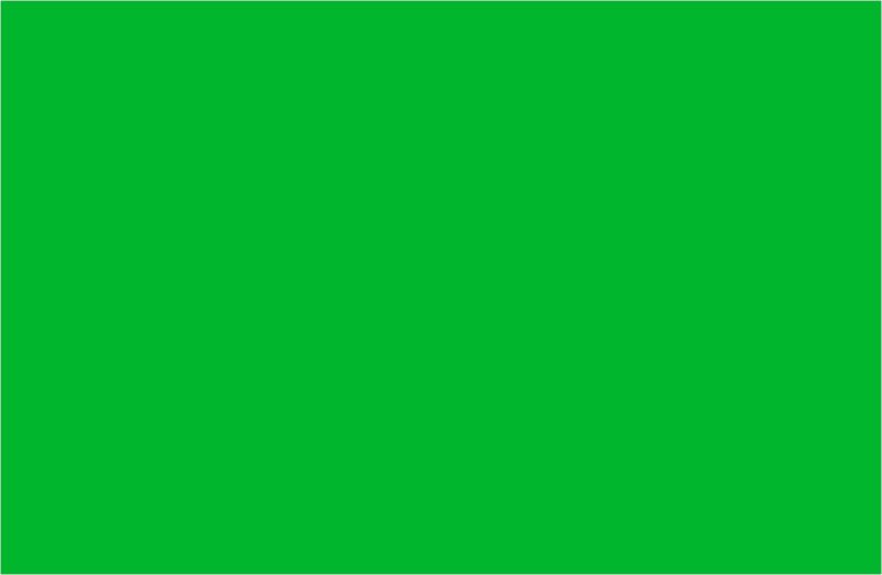 PIGMENT APPLE GREEN 200ML (POLYESTER)